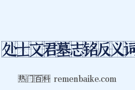 处士文君墓志铭反义词是什么意思的图片